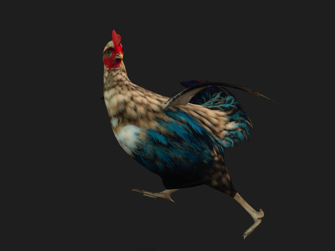 ChickenA4 Modelo 3D