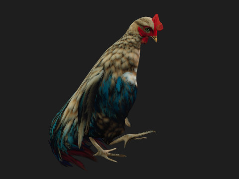 ChickenA4 Modelo 3D