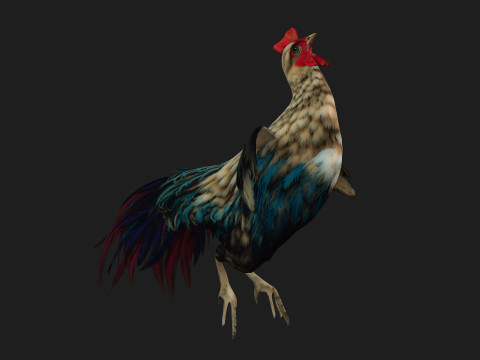 ChickenA4 Modelo 3D