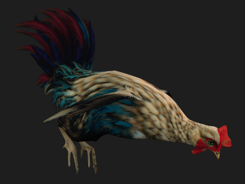 ChickenA4 Modelo 3D