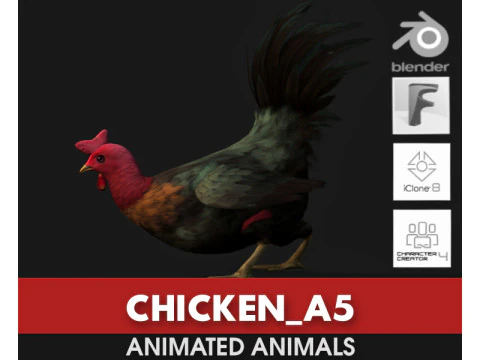 PolloA5 Modello 3D