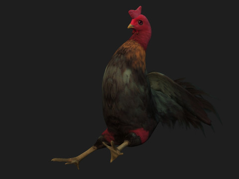 ChickenA5 Modelo 3D