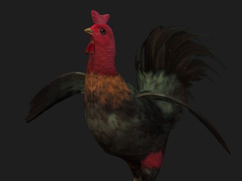 ChickenA5 Modelo 3D