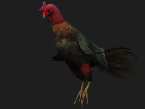 ChickenA5 Modelo 3D