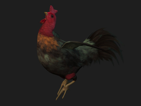 ChickenA5 Modelo 3D