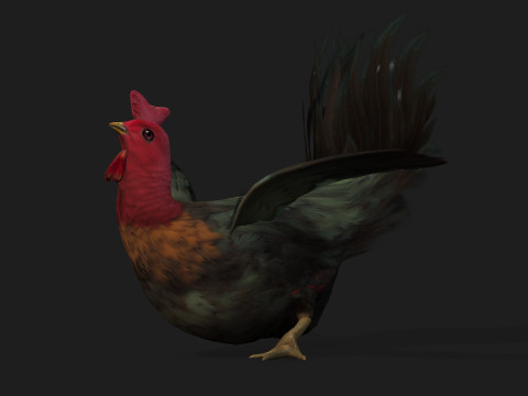 ChickenA5 Modelo 3D