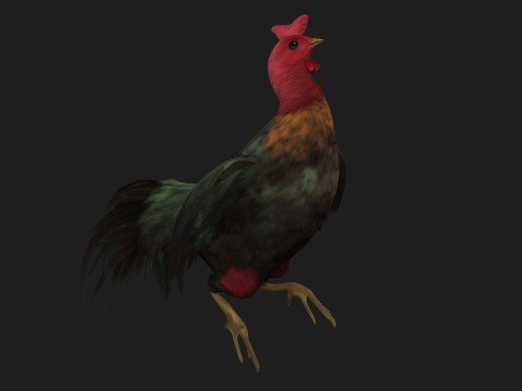 ChickenA5 Modelo 3D