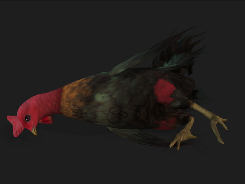 ChickenA5 Modelo 3D