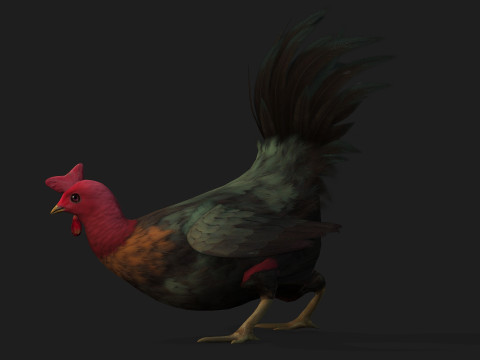 ChickenA5 Modelo 3D