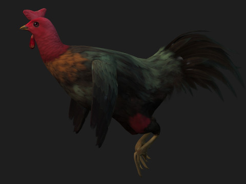 ChickenA5 Modelo 3D