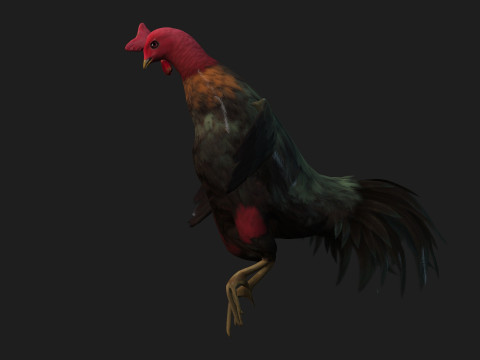 ChickenA5 Modelo 3D