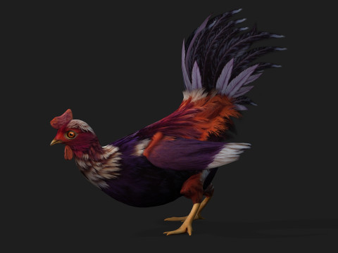 ChickenA6 3D Модель