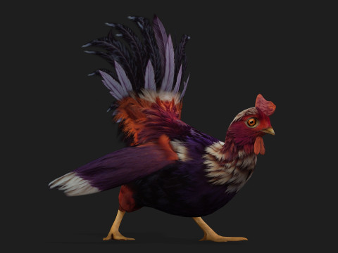 ChickenA6 3D Модель