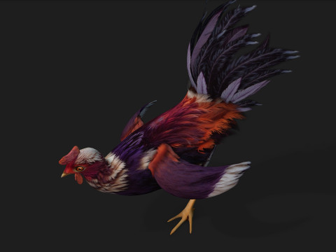 ChickenA6 3D Модель