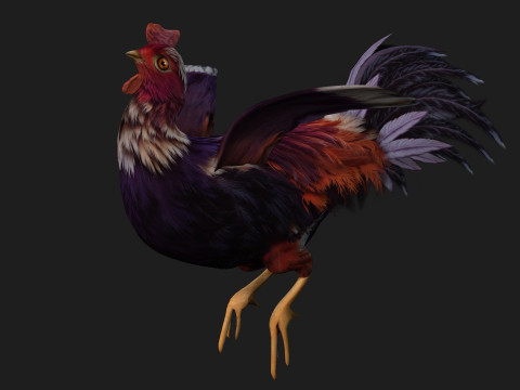 ChickenA6 3D Модель