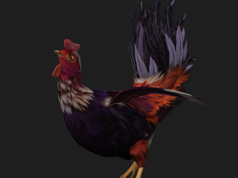 ChickenA6 3D Модель