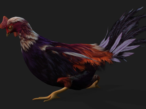 ChickenA6 3D Модель