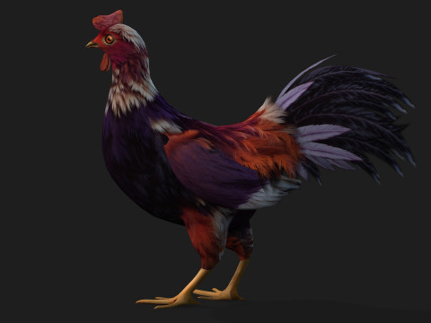 ChickenA6 3D Модель