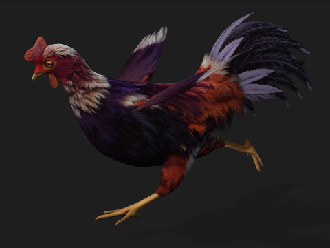 ChickenA6 3D Модель