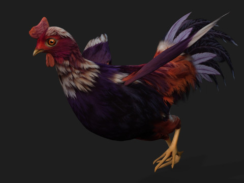 ChickenA6 3D Модель