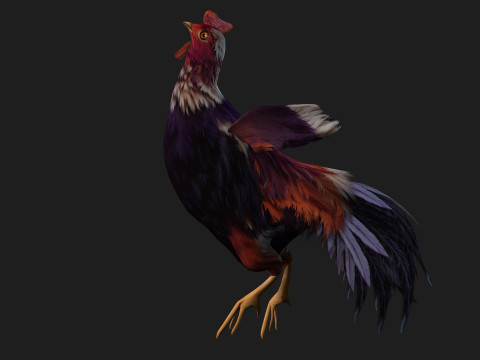ChickenA6 3D Модель