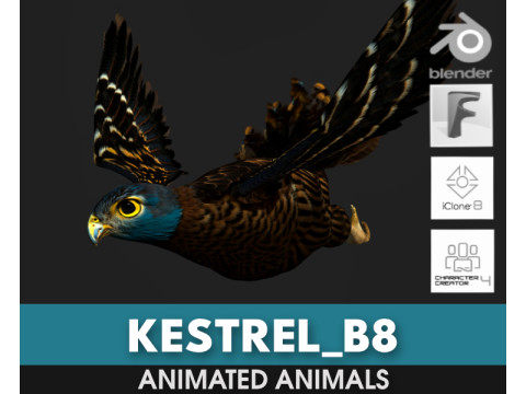 KestrelB8 3D-Modell