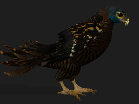 GheppioB8 Modello 3D