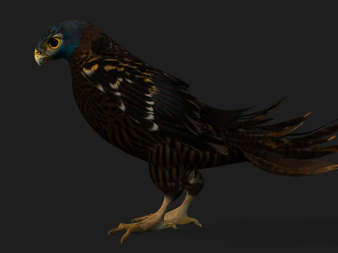 GheppioB8 Modello 3D