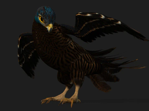 GheppioB8 Modello 3D