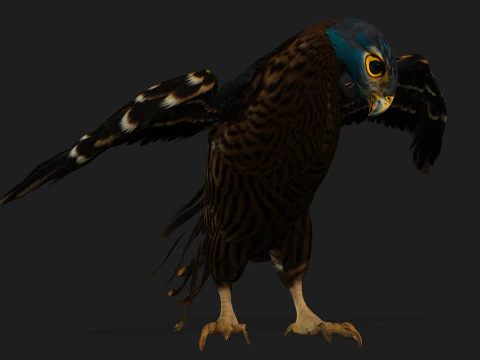 GheppioB8 Modello 3D