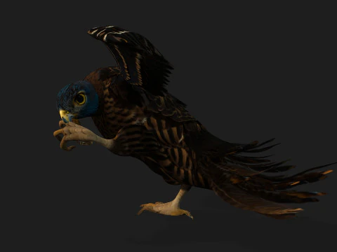 GheppioB8 Modello 3D