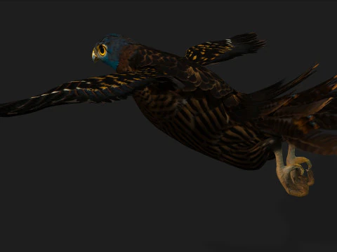 GheppioB8 Modello 3D