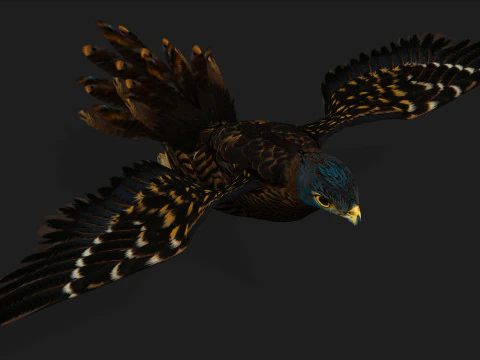 GheppioB8 Modello 3D