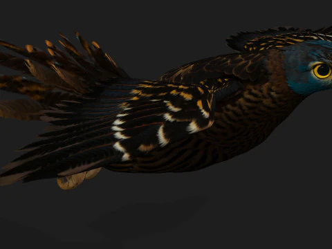 GheppioB8 Modello 3D