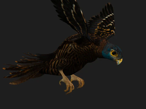 GheppioB8 Modello 3D