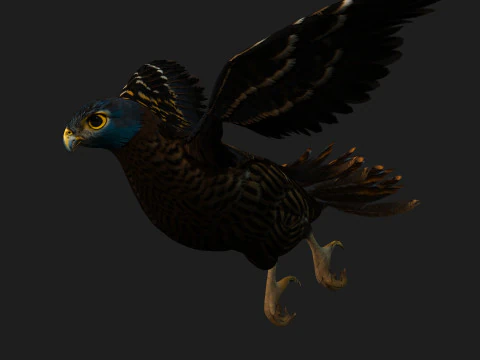 GheppioB8 Modello 3D