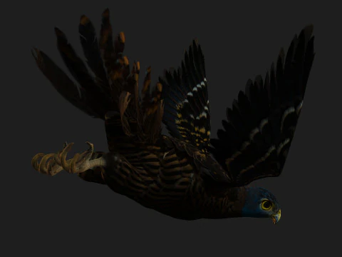 GheppioB8 Modello 3D