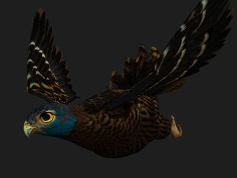 GheppioB8 Modello 3D