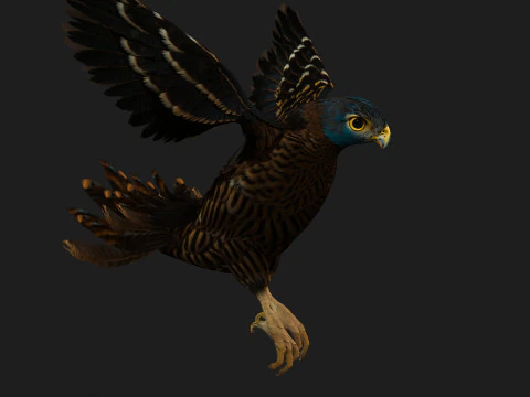 GheppioB8 Modello 3D