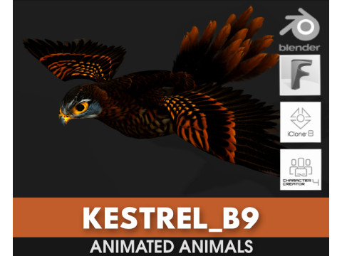 KestrelB9 3D-Modell