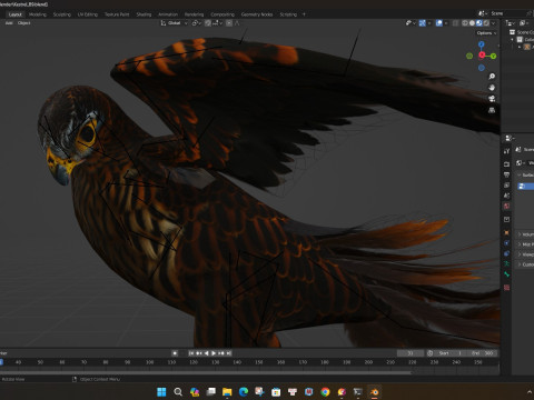 KestrelB9 3D 模型