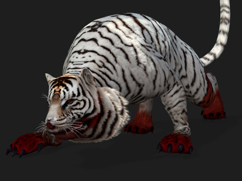 TigerA4 3D 모델