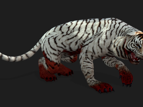TigerA4 3D 모델