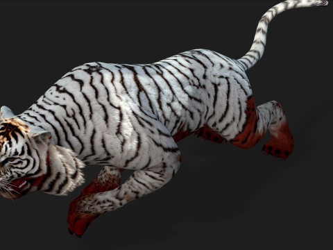 TigerA4 3D 모델