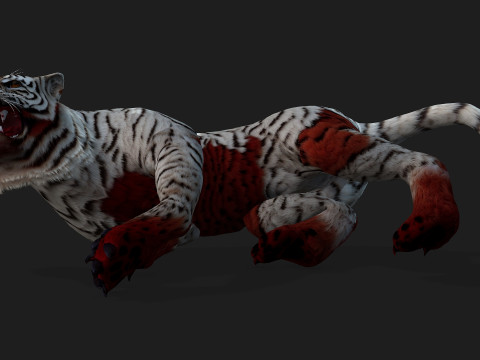 TigerA4 3D 모델
