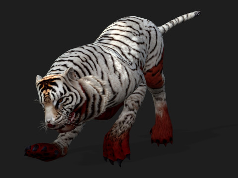 TigerA4 3D 모델