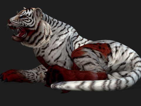 TigerA4 3D 모델