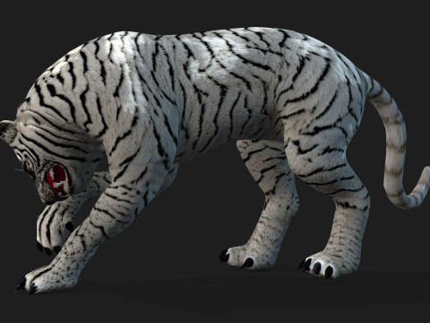 TigerA5 Modelo 3D