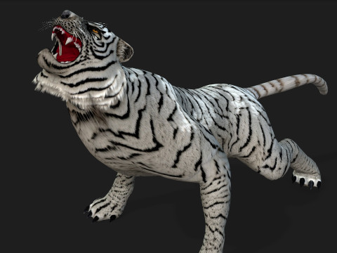 TigerA5 Modelo 3D