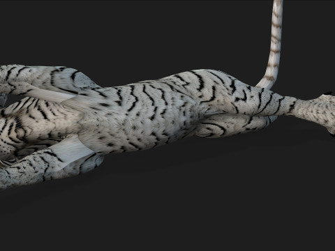 TigerA5 Modelo 3D